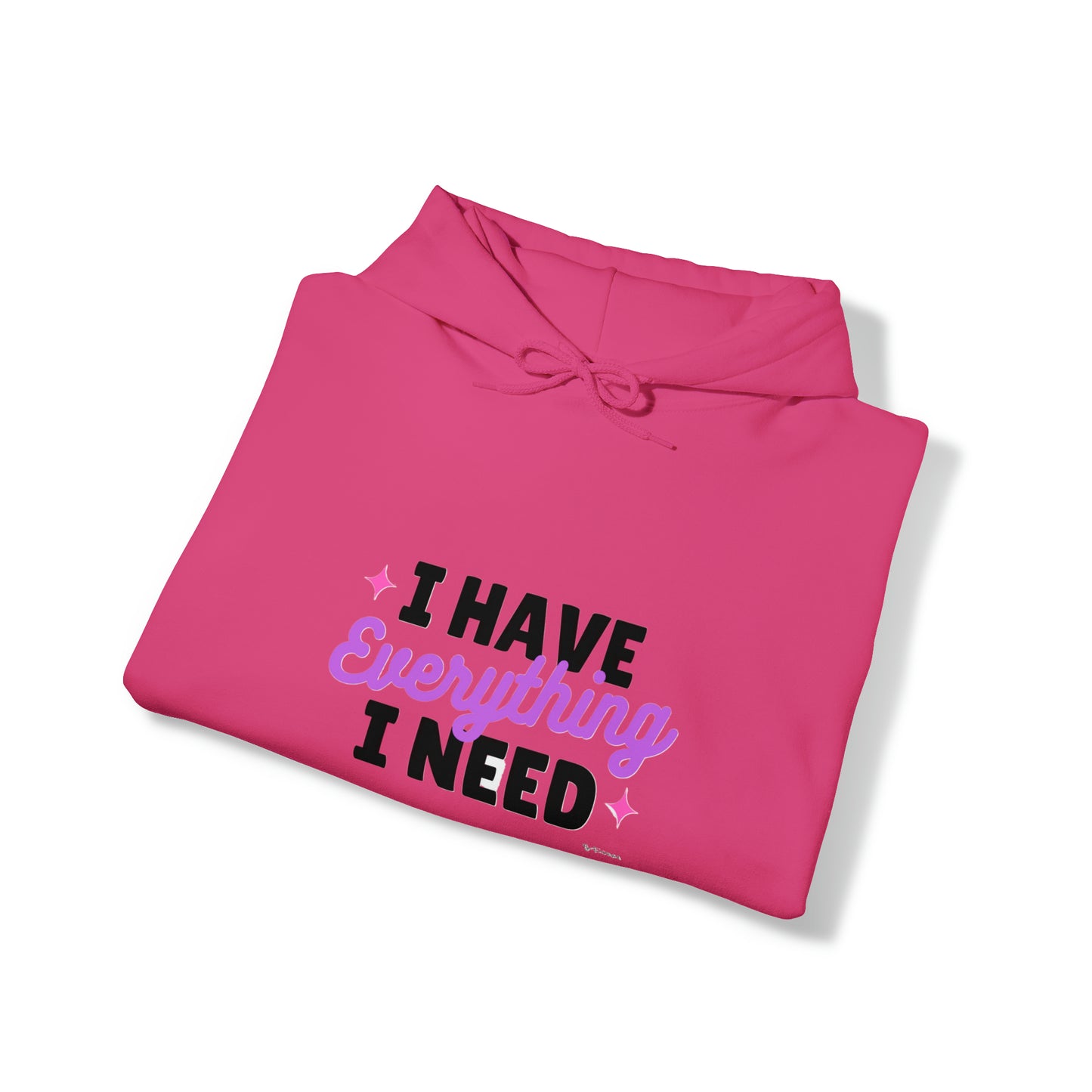 I Have Everything Hoodie
